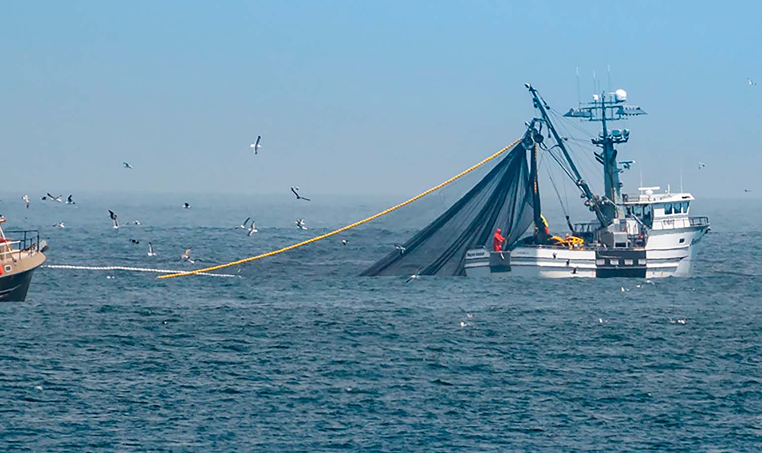 Flexible Manufacturing